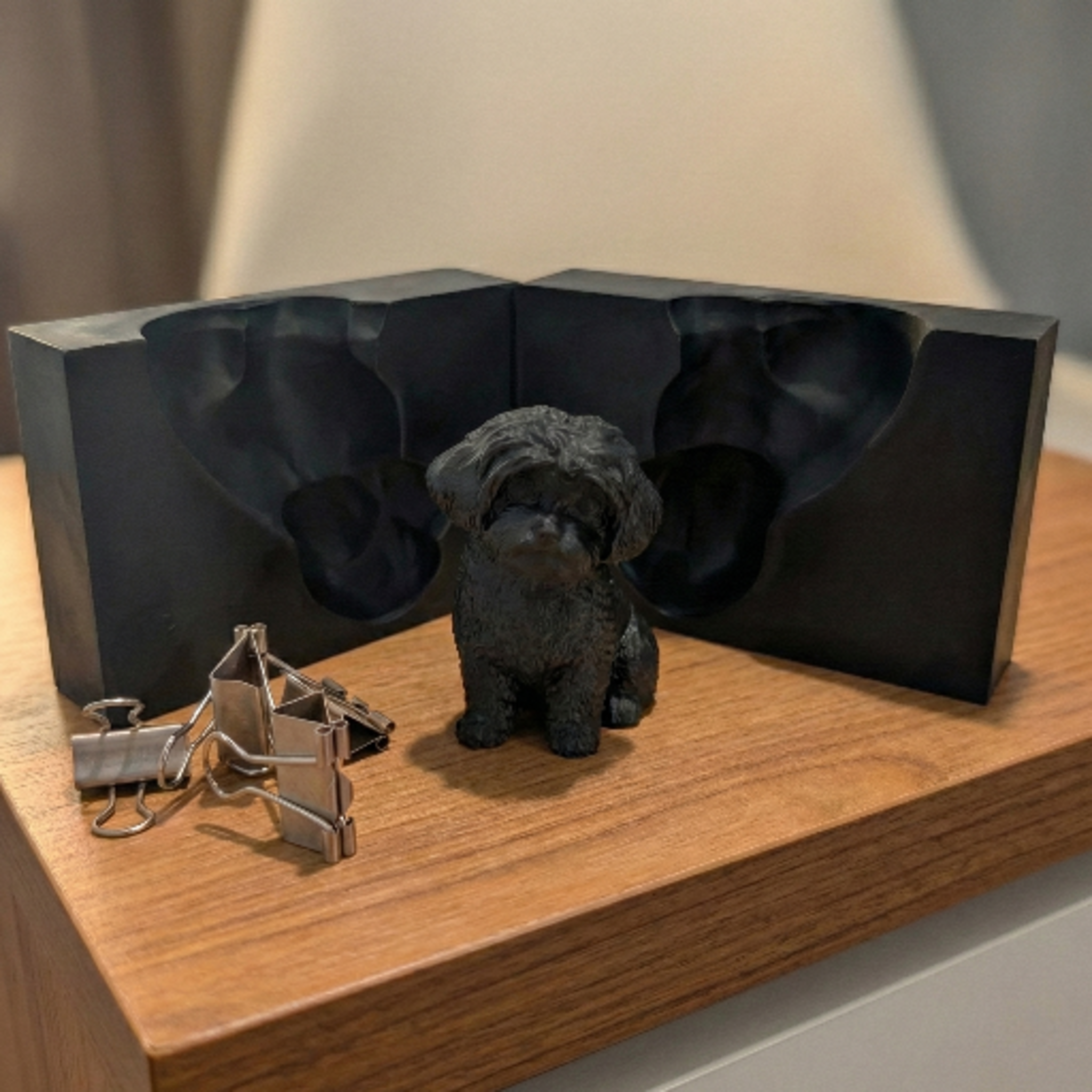 Paso 2: Modelo Digital