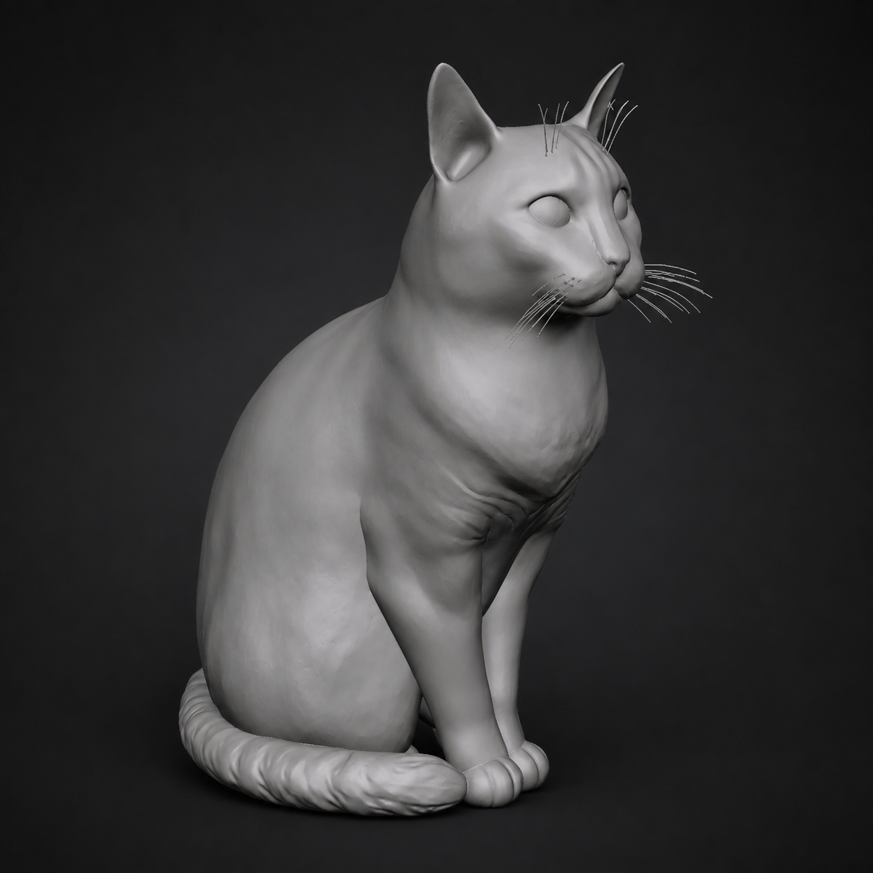 Modelo 3D del gato Luna